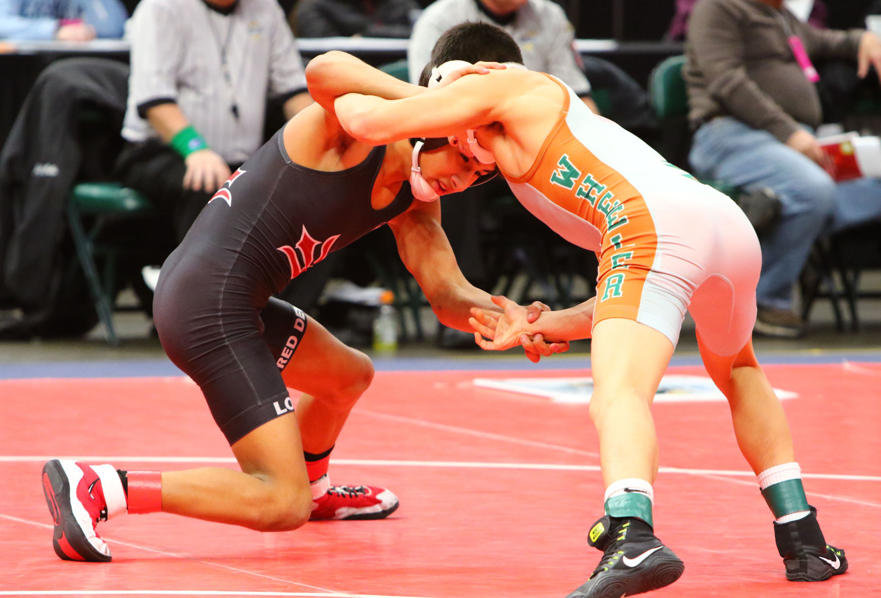 Gallery: Wrestling State Finals